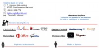 curriculum vitae